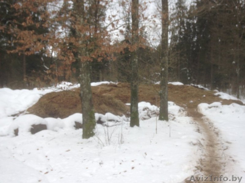 Конский навоз фасованный в пакеты - Изображение #8, Объявление #1537168