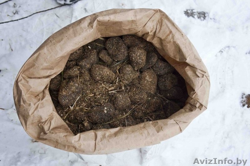 Конский навоз фасованный в пакеты - Изображение #10, Объявление #1537168
