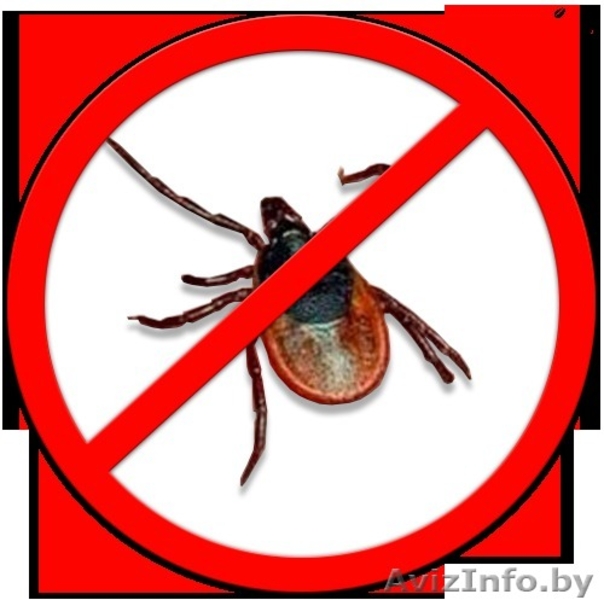 Посев дачного газона - Изображение #6, Объявление #1547505