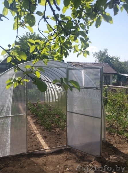 Стальные оцинкованные теплицы с бесплатной доставкой - Изображение #3, Объявление #1545326
