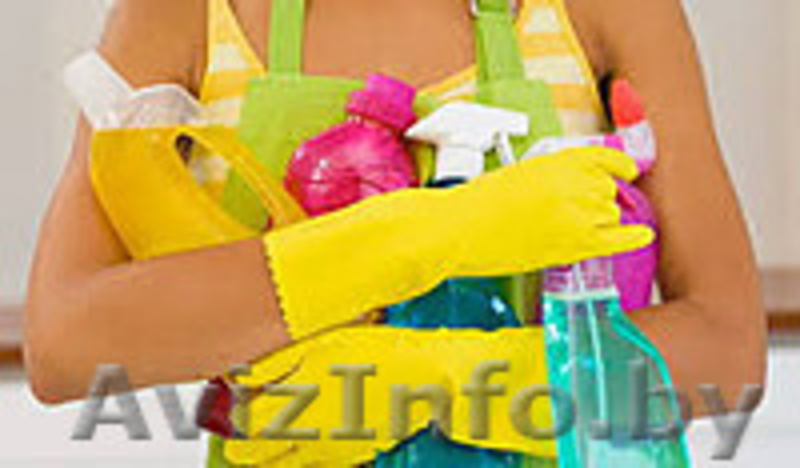 Аренда строительного, садового, клинингового оборудования а также бензо и электроинструмента в Минске - Изображение #5, Объявление #1547308