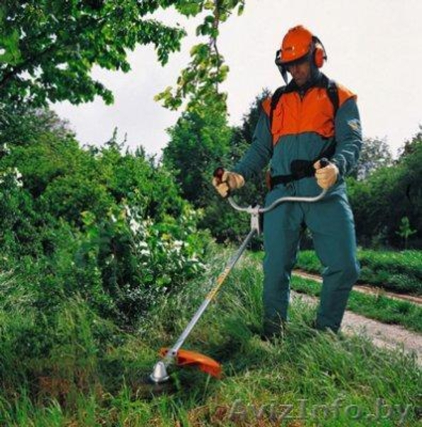 Посев дачного газона - Изображение #4, Объявление #1547505