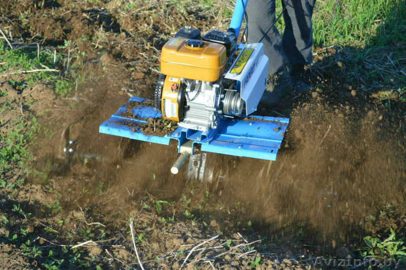 Посев дачного газона - Изображение #5, Объявление #1547505