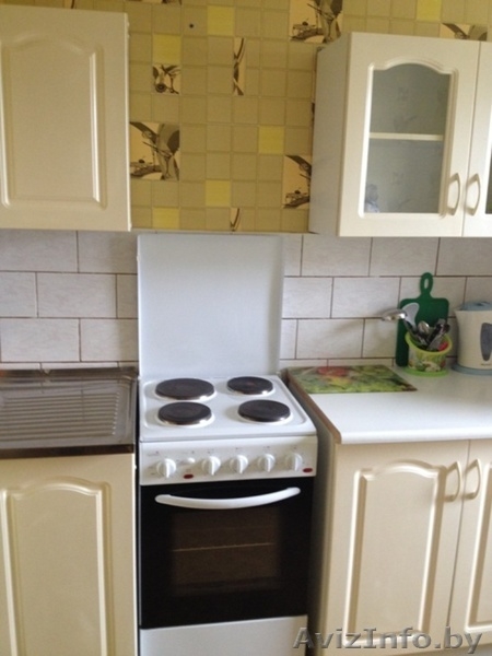 Квартира на сутки в Минске недорого возле метро Петровщина (Малиновка, Юго-запад - Изображение #5, Объявление #1383884