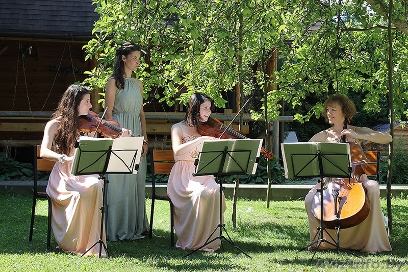 Струнный квартет, трио, дуэт. Музыкальное сопровождение торжеств. - Изображение #3, Объявление #1358485