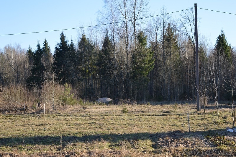 Дачный участок 20 соток - Изображение #3, Объявление #1549869