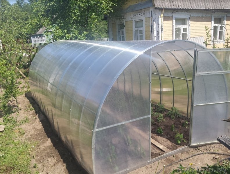 Теплица Агросфера (Сибирская, Элит, Богатырь, Титан) - Изображение #6, Объявление #1550558
