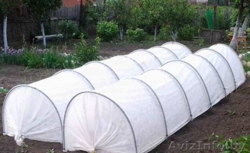 Чудо-парник - замена дорогим теплицам. - Изображение #1, Объявление #1551344