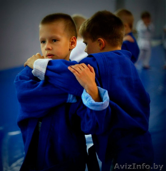 Что дают занятия боевыми искуствами Вашему ребёнку - Изображение #3, Объявление #1554683