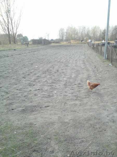 Продам участок земли с кирпичным домом - Изображение #3, Объявление #1554168