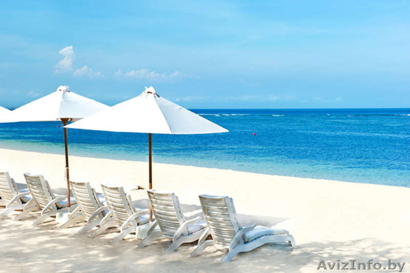 Семейный отдых на Черном море.Затока.Отель Адам и Ева.. - Изображение #8, Объявление #1553870