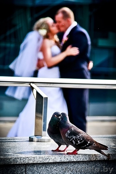 Ведущий, МЫ ПОДАРИМ ВАМ ПРАЗДНИК. - Изображение #10, Объявление #1550071