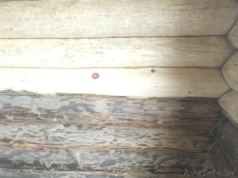 Шлифовка, покраска, конопатка, герметизация, отделка срубов - Изображение #3, Объявление #1555296