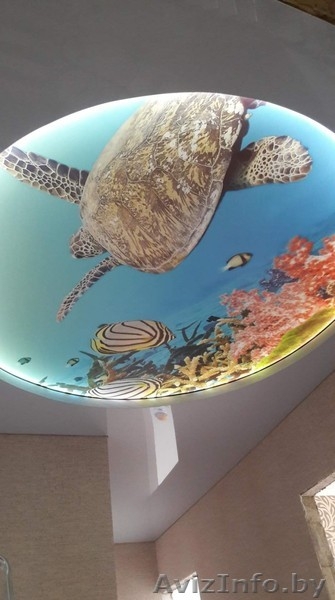 Натяжные потолки в кратчайшие сроки - Изображение #3, Объявление #1561773