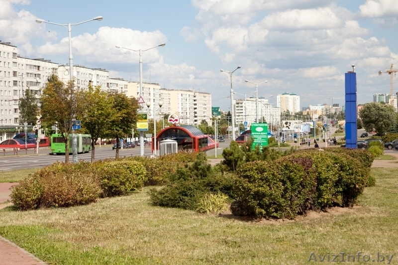 Апартаменты Венера (ул. Е. Полоцкой, 1) - Изображение #21, Объявление #1568858