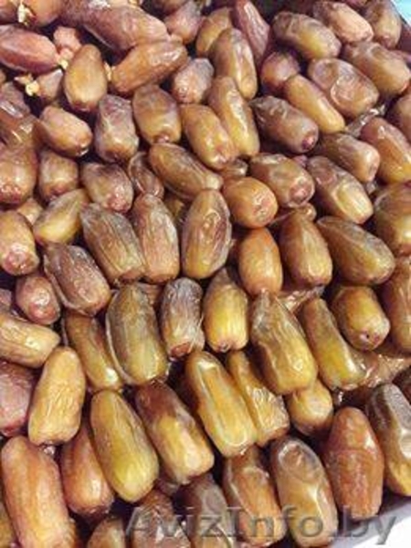 Финики Тунис (Прямые поставки)  - Изображение #3, Объявление #1567130