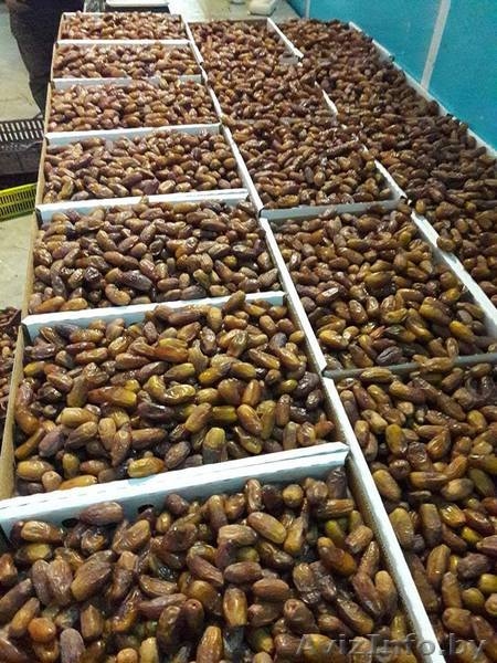 Финики Тунис (Прямые поставки)  - Изображение #4, Объявление #1567130