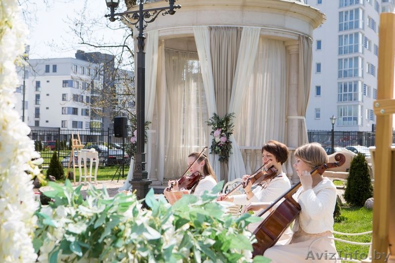 Струнный квартет в Минске. - Изображение #4, Объявление #920052