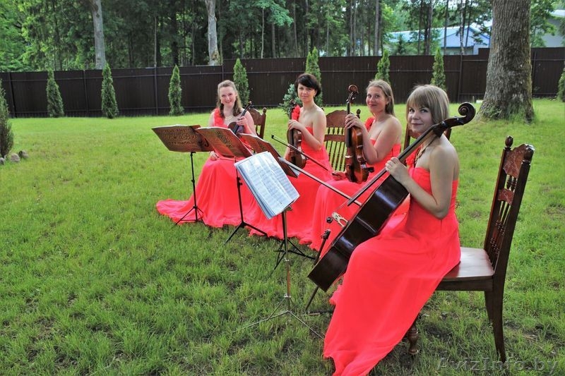 Струнный квартет в Минске. - Изображение #3, Объявление #920052