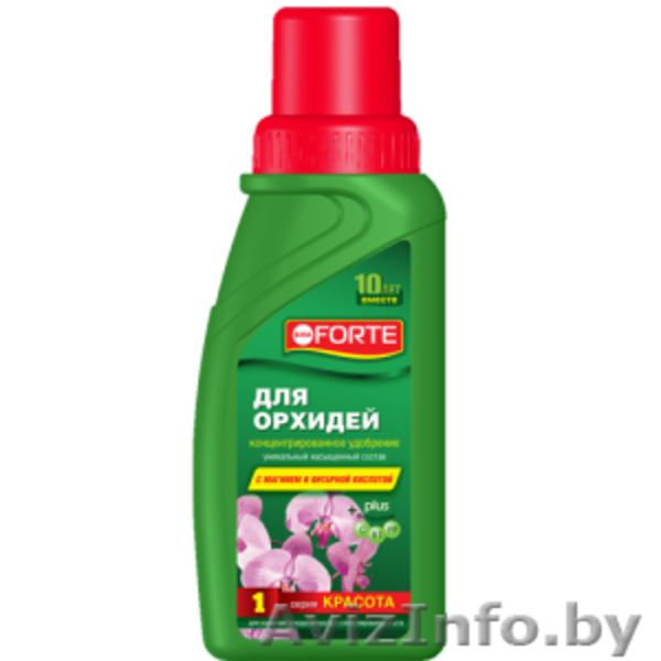 Оптовые цены на товары для дома, садовую мебель, флористические товары   - Изображение #6, Объявление #1565592