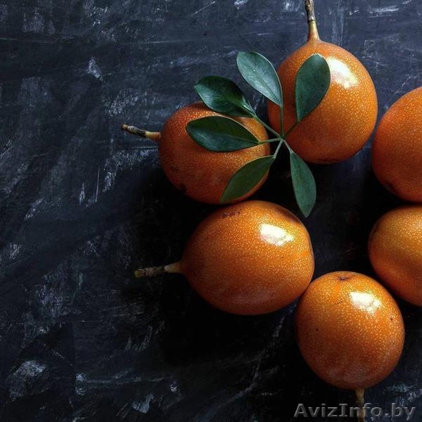 Экзотические фрукты - Изображение #4, Объявление #1569950