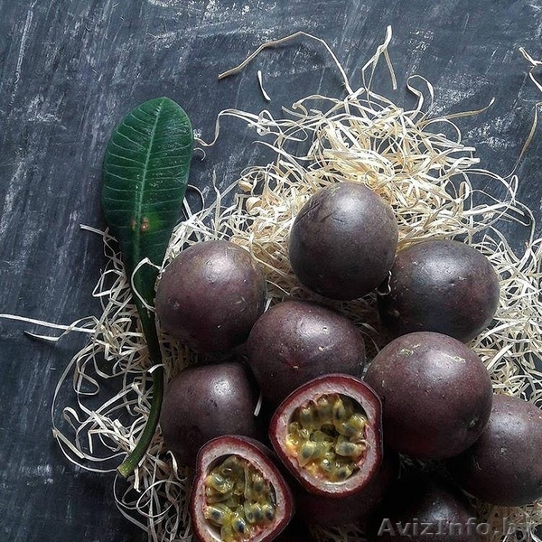 Фруктовая экзотика - Изображение #5, Объявление #1569952