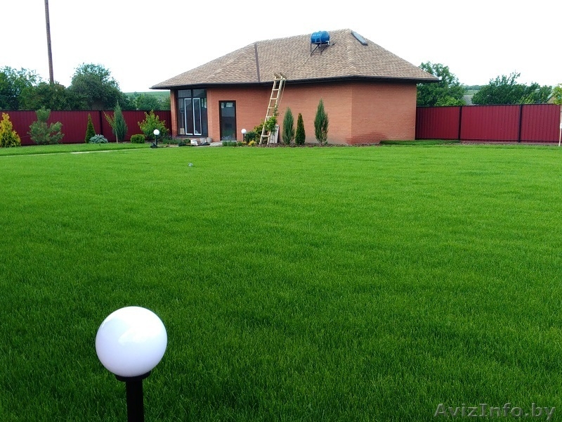 Рулонный газон по самым низким ценам! - Изображение #3, Объявление #1572930