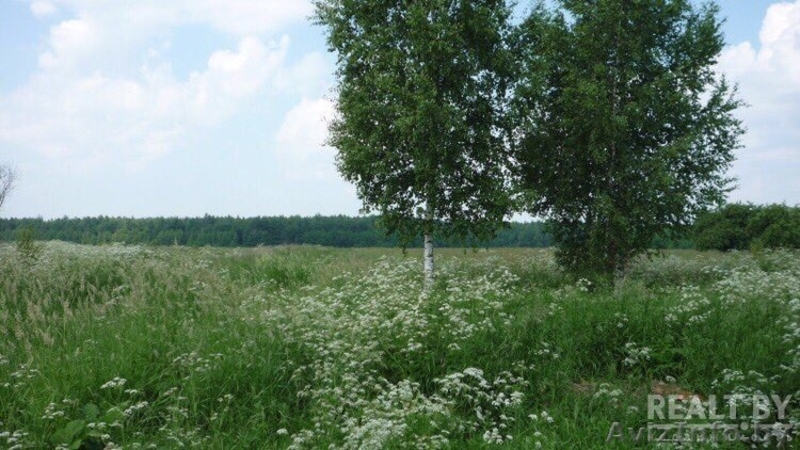 Продам недорого Участок на Браславских озерах под строительство дома - Изображение #5, Объявление #1579326