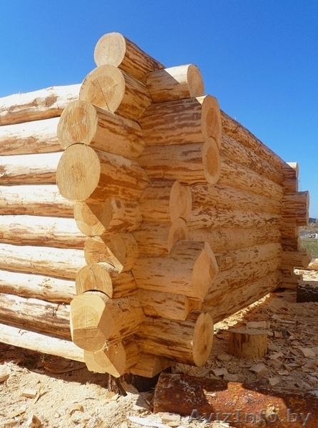  Сруб дачного домика в стиле "тайга". - Изображение #9, Объявление #1577031