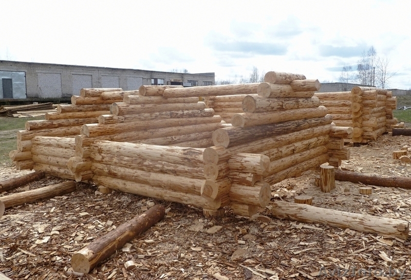  Сруб дачного домика в стиле "тайга". - Изображение #2, Объявление #1577031