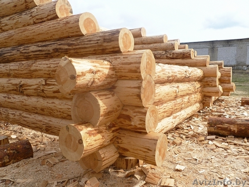  Сруб дачного домика в стиле "тайга". - Изображение #3, Объявление #1577031