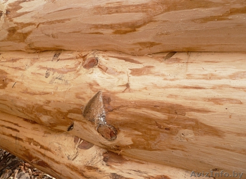  Сруб дачного домика в стиле "тайга". - Изображение #5, Объявление #1577031