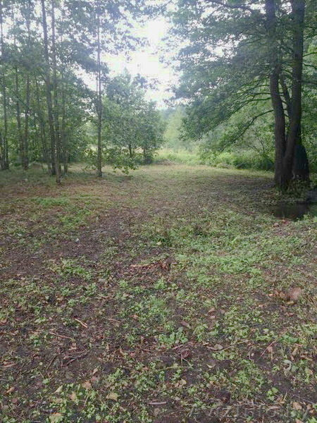 Участок в Молодечненском направлении недалеко от Минска, д. Дички - Изображение #9, Объявление #1581848