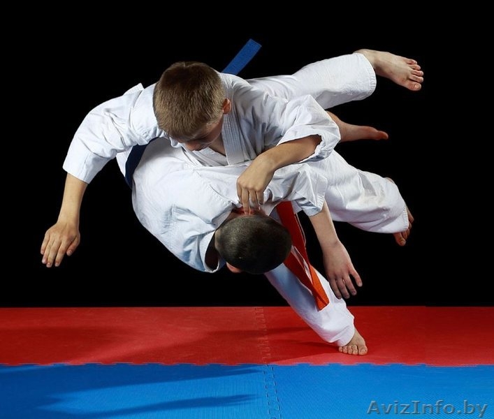 Клуб единоборств Легион. Средний опыт тренеров 16 лет. - Изображение #3, Объявление #1584079