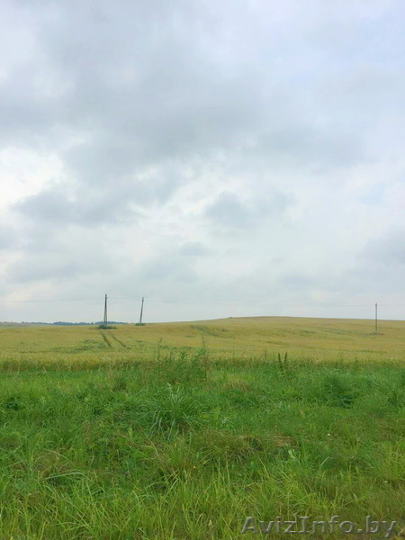 Участок в Молодечненском направлении недалеко от Минска, д. Дички - Изображение #3, Объявление #1581848