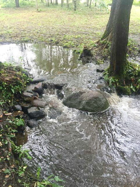 Участок в Молодечненском направлении недалеко от Минска, д. Дички - Изображение #5, Объявление #1581848