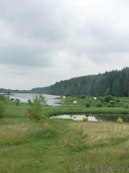 Участок в Молодечненском направлении недалеко от Минска, д. Дички - Изображение #6, Объявление #1581848