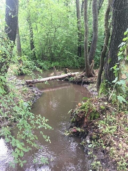 Участок в Молодечненском направлении недалеко от Минска, д. Дички - Изображение #7, Объявление #1581848
