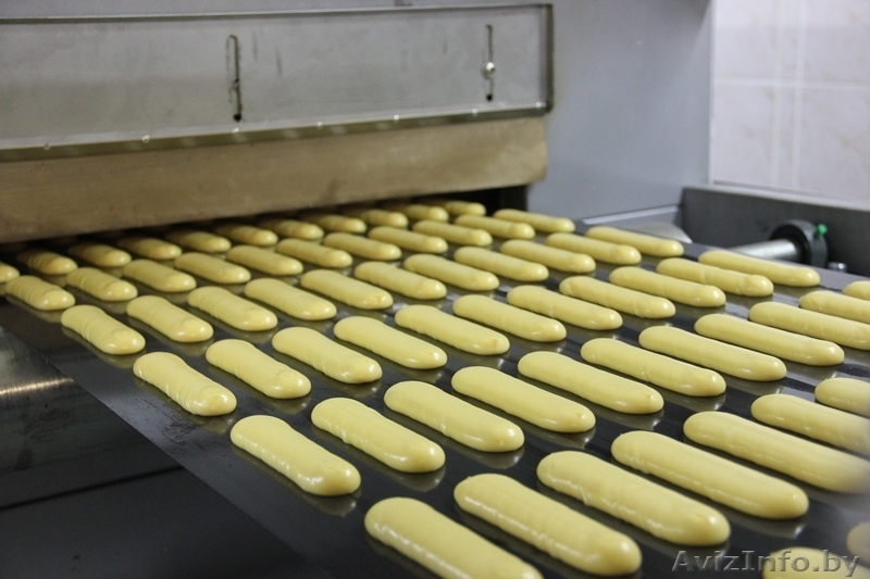Линия производства эклеров и профитролей - Изображение #4, Объявление #1584659