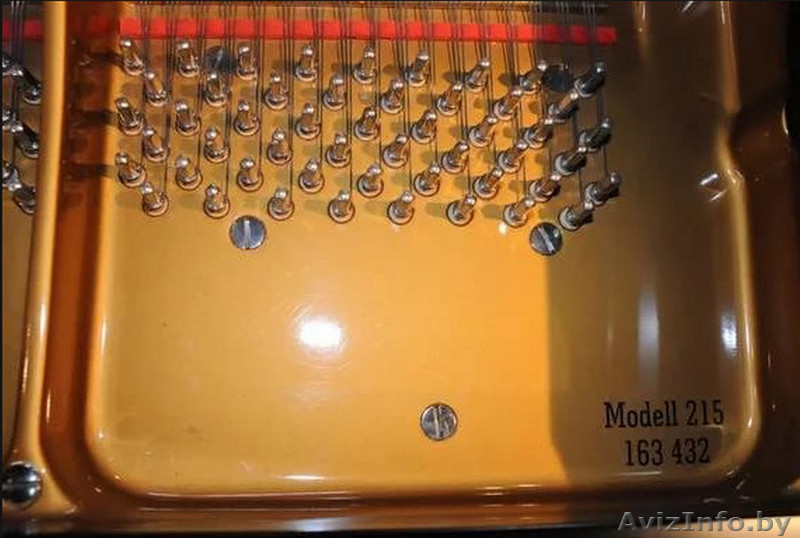 Продаю германский концертный рояль August Forster - модель 215 - Изображение #3, Объявление #1581147