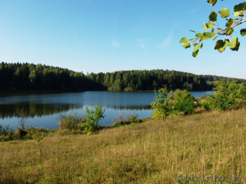Коттедж на берегу озера недалеко от Минска, д. Дички, Раковское направление - Изображение #9, Объявление #1577413