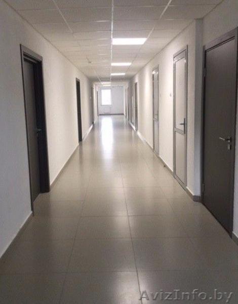 В аренду помещения под общепит 100-330 м2 ул.Жуковского - Изображение #3, Объявление #1589071