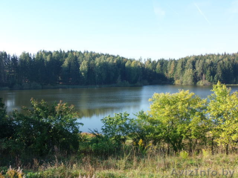 Коттедж на берегу озера недалеко от Минска, д. Дички, Раковское направление - Изображение #3, Объявление #1577413