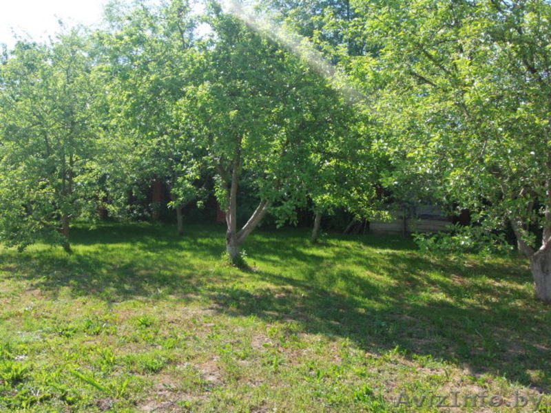 Коттедж на берегу озера недалеко от Минска, д. Дички, Раковское направление - Изображение #8, Объявление #1577413