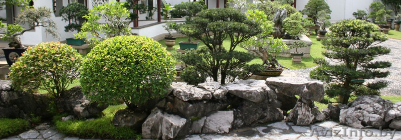 Ландшафтный проект - Изображение #3, Объявление #1591503