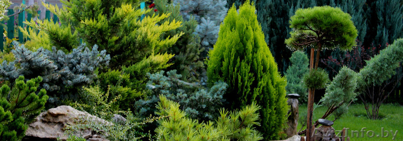 Ландшафтный проект - Изображение #4, Объявление #1591503