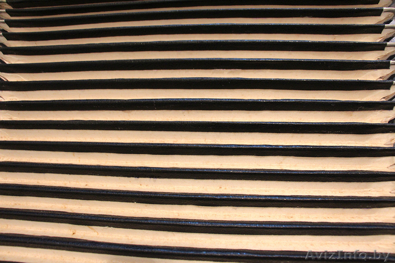 Аккордеон "Scholer" 3/4. - Изображение #4, Объявление #1593139