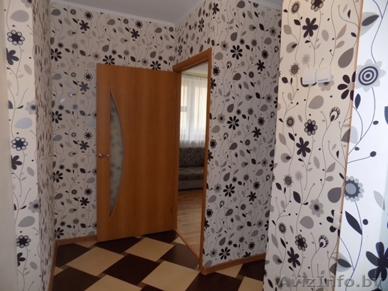 Хорошая 1-квартира ст.м Пушкинская на Сутки,Часы,Недели.Wi-Fi - Изображение #5, Объявление #1594092