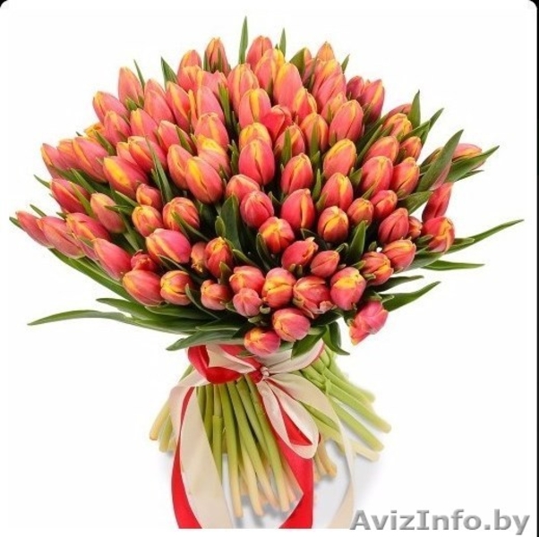 Цветы оптом и в розницу,букеты - Изображение #3, Объявление #1602610