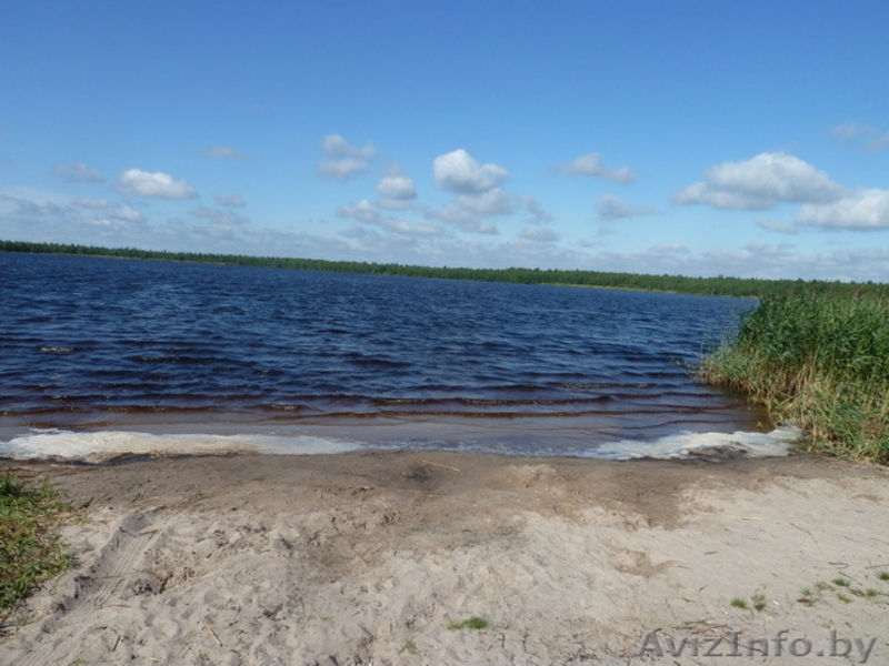 Продам дом в г.п.Свислочь (Пуховичское напровления) - Изображение #8, Объявление #1601191